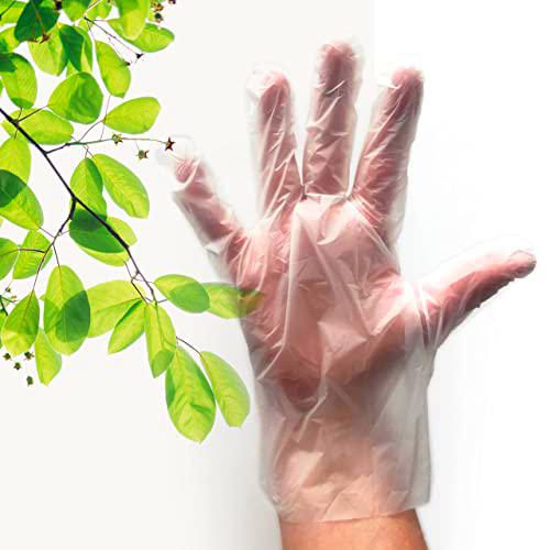 Guantes desechables compostables PLA (500 unidades)