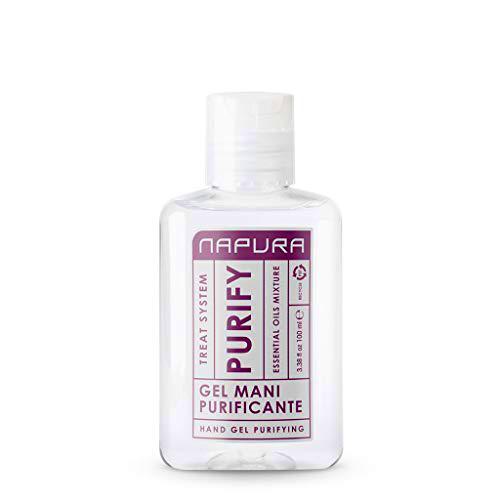 Purify Gel Manos Purificante 100 ml